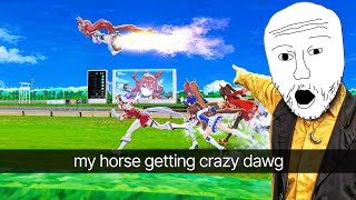 Mihono Bourbon Doing Tricks On It In Umamusume