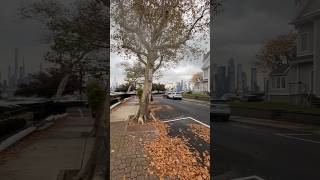 Roof Cleaning With A City View