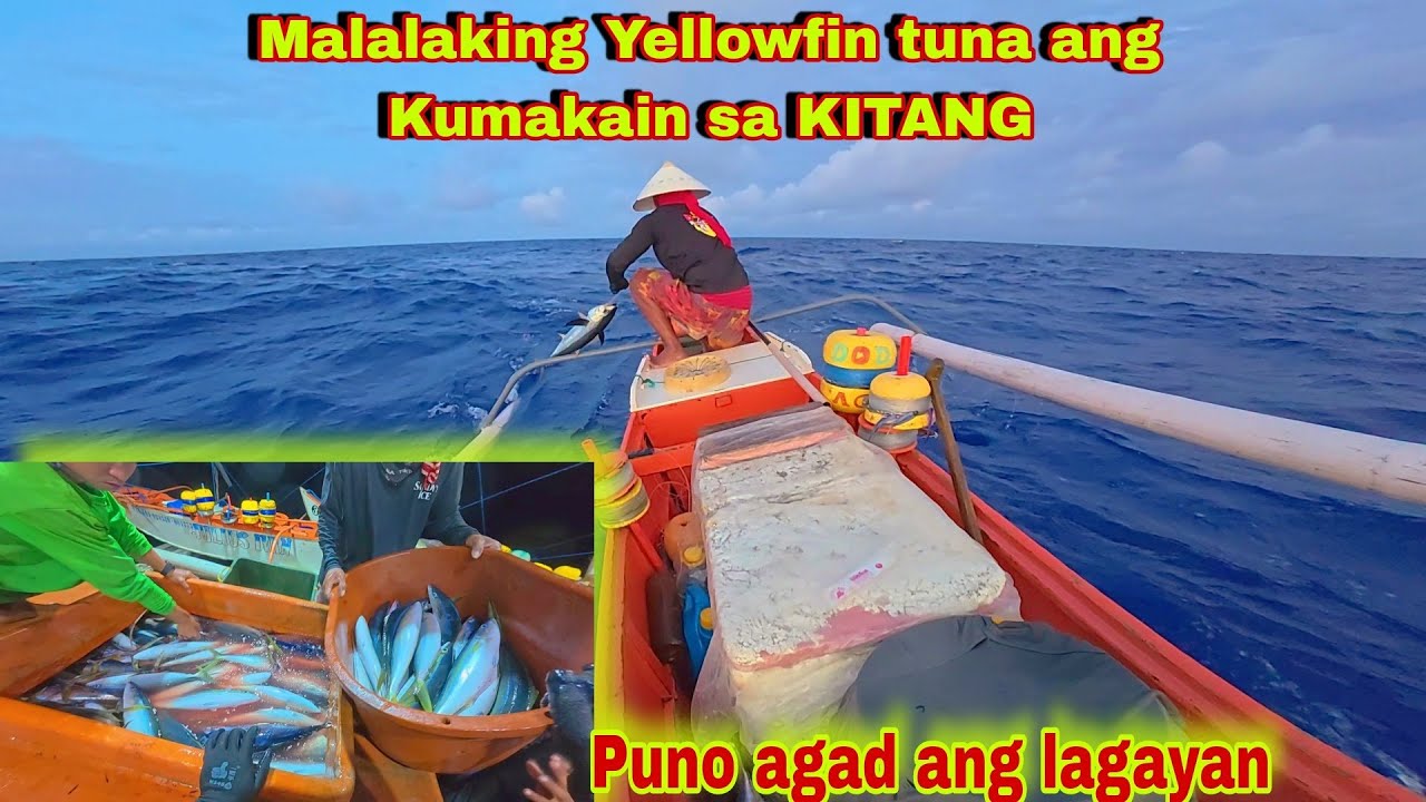 SAMAR adv. P4 | Malalaking yellow fin tuna ang Kumakain sa KITANG