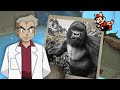 Taking the Greatest ‘Mid Mauling’ Wildlife Photos of All Time | the Long Dark