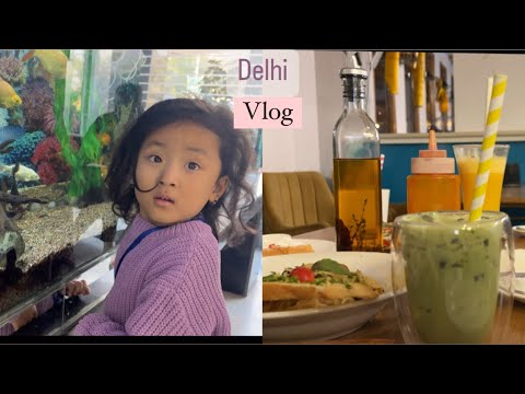 Delhi diaries | trying new cafe “Himalayan Java Coffee” Majnu ka tilla Delhi