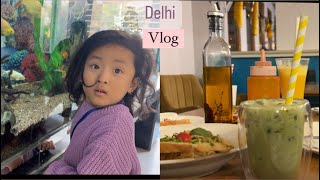 Delhi diaries | trying new cafe “Himalayan Java Coffee” Majnu ka tilla Delhi