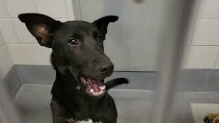 acs A688410