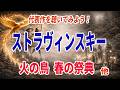 【名曲紹介】火の鳥、春の祭典！！ストラヴィンスキー代表作６選！まずは聴いてみよう！20世紀を代表する名曲を紹介！