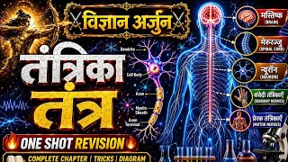 ⚡ तंत्रिका तंत्र सम्पूर्ण अध्याय | Brain, Neuron, Spinal Cord | One Shot Revision | Science by Arjun