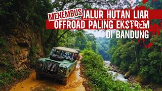 Menembus Hutan Liar‼️ Offroad Jeep Ciwidey Bandung