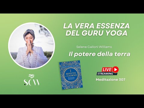 Rimetti in gioco le tue vittorie e punta a traguardi più elevati. Meditazione 307