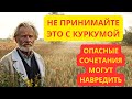 Куркума для суставов и памяти: как избежать ошибок и не навредить здоровью #здоровье #долголетие