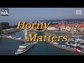 Hornymatters