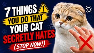 7 Things You Do That Your Cat Secretly HATES (Stop Now!)