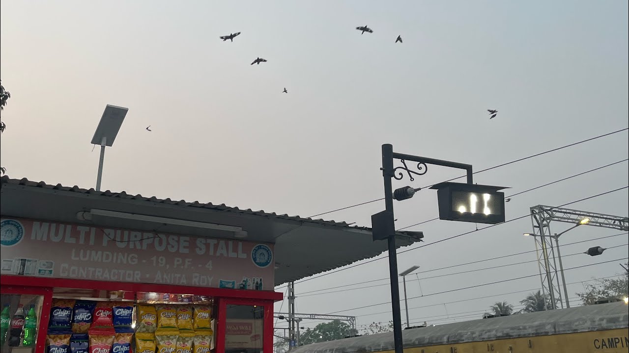 Exploring lumding railway station ✨