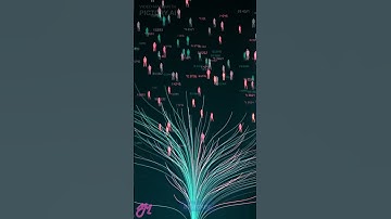 What is a DDoS Attack ?