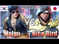 Tekken 8  malgu law vs nice bird shaheen  ranked matches