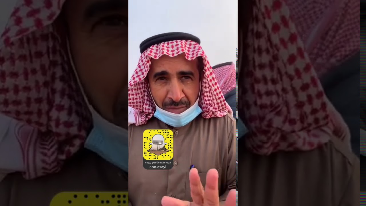 ترجمة المصطلحات الدارجة في تسويق وتربية الإبل