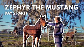 Learning to draw with Zephyr the Mustang (Day 2 Part I) by Elisa Wallace Eventing 3,660 views 2 months ago 12 minutes, 23 seconds