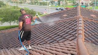 Roof Wash for BankUnited in Oldsmar, FL #roofcleaning #softwashing #softwash