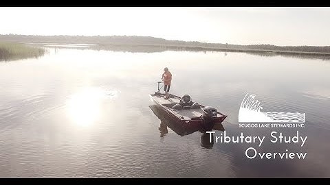 Tributary Study -  Overview