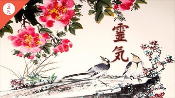 Reiki Music, Healing Music, With Bell Every 3 Minutes, Zen Meditation, Emotional Healing