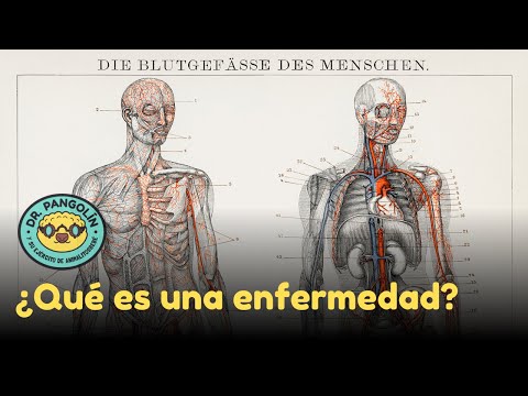 ¿Qué es una enfermedad? - Dr. Pangolín y su Ejército de Animalitosbebé