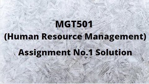 MGT501(Human Resource  Management) Assignment No.1 Solution Spring 2021-2022