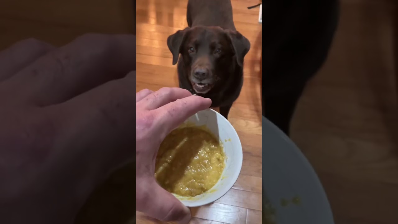 Easy Carnivore Bread 