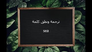 ترجمة ونطق كلمة sea | القاموس المحيط
