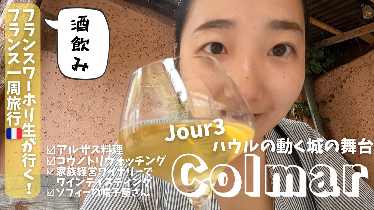 【フランスワーホリ生が行くフランス１周旅行！】Jour3＊ハウルの動く城の舞台の街コルマール/ソフィーの帽子屋さん/アルザスグルメ/コウノトリ/ワインテイスティング