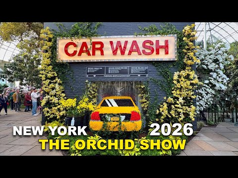 New York Botanical Garden BRONX New York The Orchid Show 2026 Mr. Flower Fantastic’s Concrete Jungle