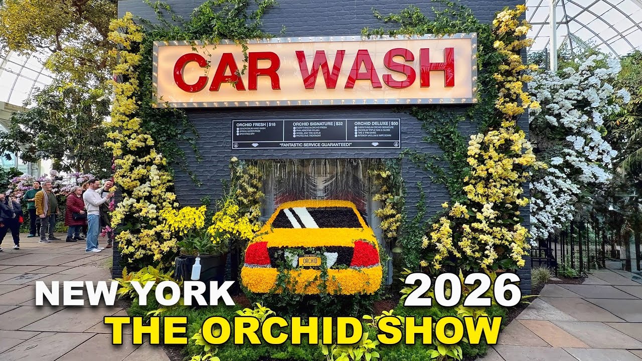 New York Botanical Garden BRONX New York The Orchid Show 2026 Mr. Flower Fantastic’s Concrete Jungle