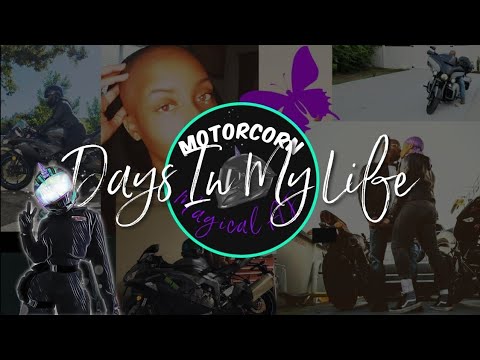 Days in my life | Harley Davidson Day Party, OMG She's Bald, Ryobi Tool Review & Horses
