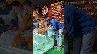 NR Fish Spa🥰 Besant Nagar beach +919952085544 #youtubeshorts #spa #cute #fish #yt #youtube #chennai