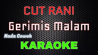 Cut Rani - Gerimis Malam [Karaoke] NADA COWOK | LMusical