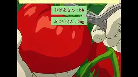 Xưng hô với các thành viên trong gia đình bằng tiếng Nhật?