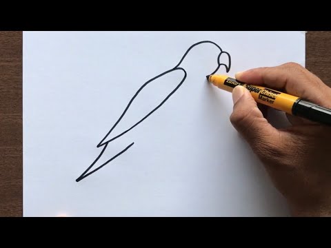 Video: Si të bëni ushqim urgjent për zogjtë e vegjël: 11 hapa