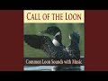 Loons of Golden Pond