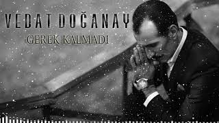 Vedat  Doğanay  -  Gerek Kalmadı    Resimi