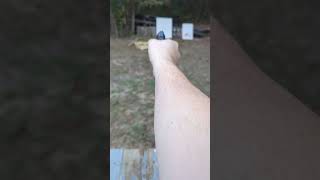 Taurus pt-25
