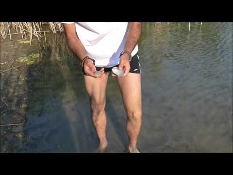 סכין מאולתרת מצדפה