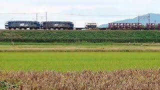 EF210-137＋ムドEF210-121　5085レ　2013.10.22　琵琶湖線