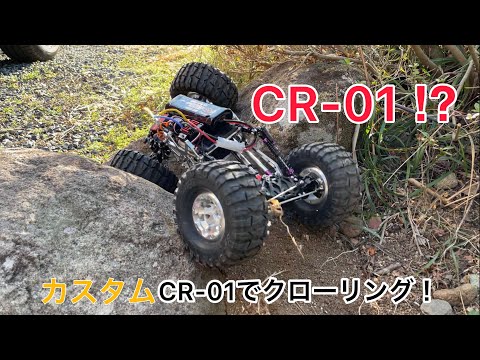 TAMIYA CR-01 理想のクローラーを目指して作ったCR-01を走らせてみた
