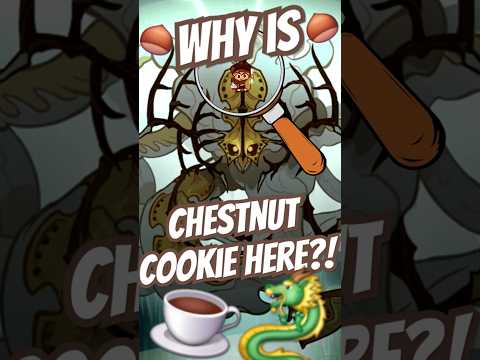 Chestnut Cookie HAS