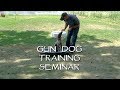 Place Training for your Dog in 3 Easy Steps  -  Upland Bird Dog Training