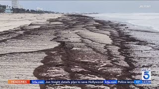 Concerns linger about potentially dangerous toxic materials left behind from Palisades Fire