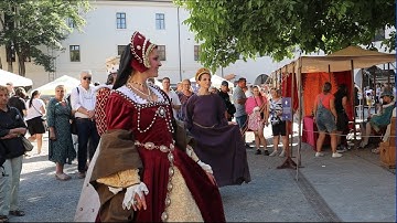 Medieval Festival Oradea - Sonivius Vappae band