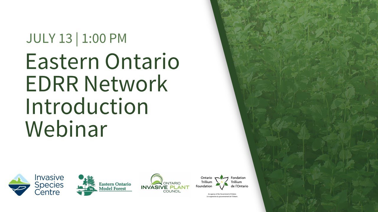 Eastern Ontario EDRR Network Introduction Webinar