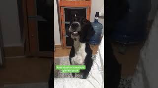 Ben Markette Uslu Uslu Dururum🥰🥰😹😹😹