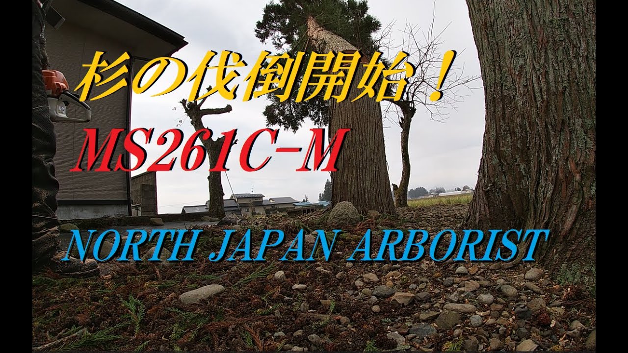 671.伐倒開始・MS261C-M　English sub