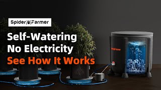How To Keep Plants Watered In The Summer No Power Needed Spider Farmer Self-Watering Kit