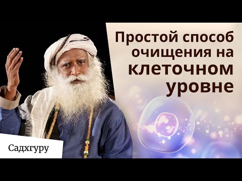 Интервальное голодание поможет вам очистить карму и избавиться от хронических заболеваний