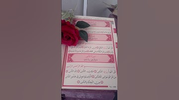 سورة الناس/للقارئ ماهر المعيقلي/رقم الصفحة604